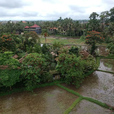 Byasa Ubud