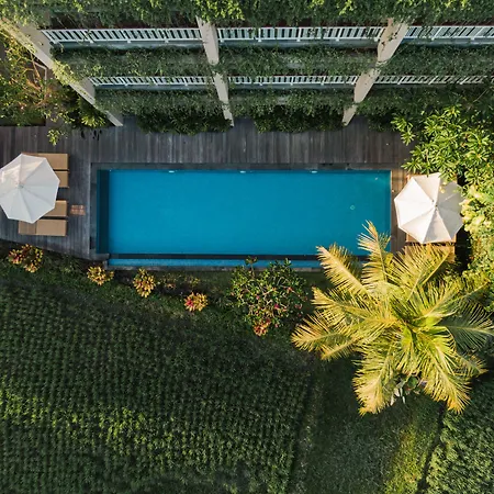 Byasa Ubud