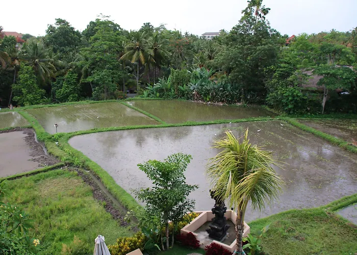 Byasa Ubud