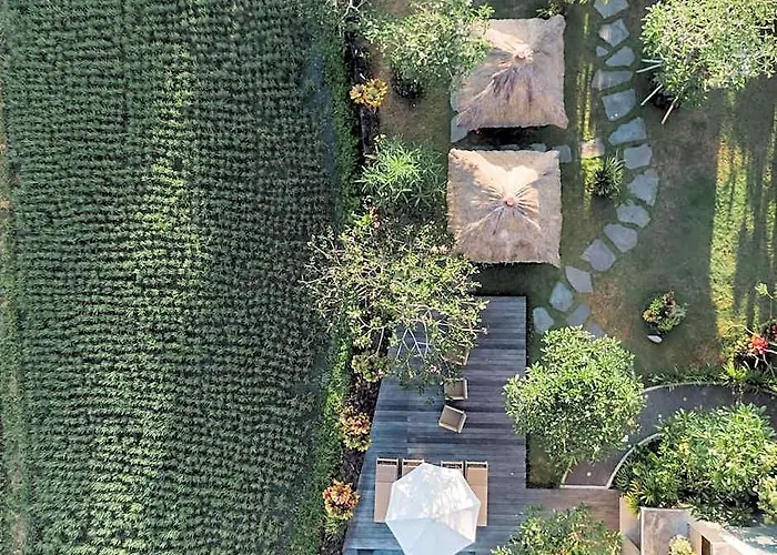 Byasa Ubud